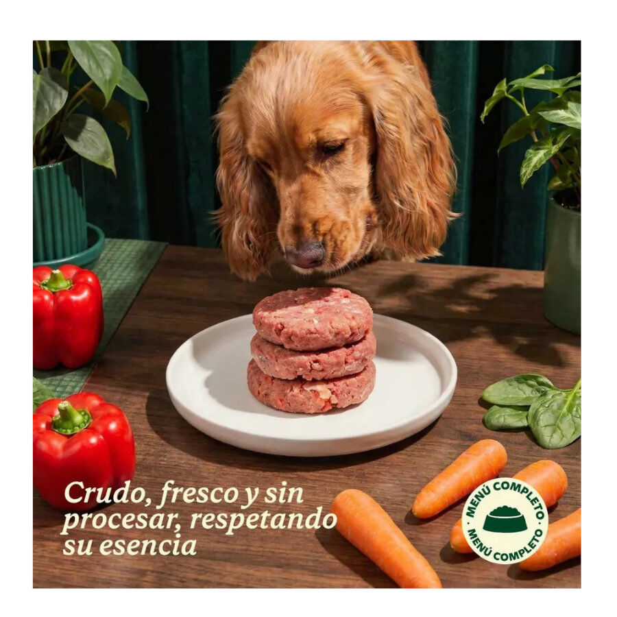 2.5 kg Wild Balance BARF Frango e Legumes alimenta&ccedil;&atilde;o natural congelada para c&atilde;es, , large Imagem n&uacute;mero 7