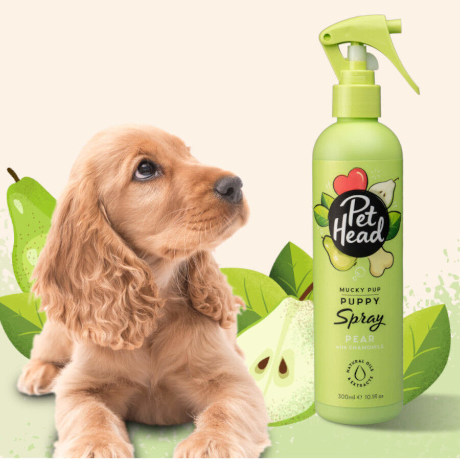 Pet Head Champ&ocirc; seco p&ecirc;ra para c&atilde;es 300ml, , large Imagem n&uacute;mero 2