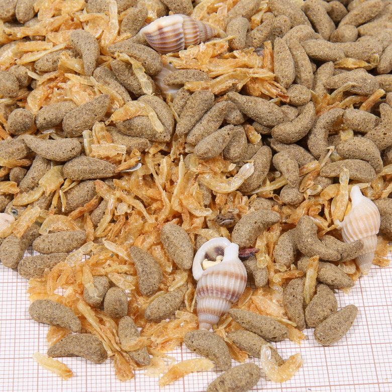 JBL Agil Sticks para tartarugas,  Imagem número 2 JBL Agil Sticks para tartarugas, , large Imagem número 2