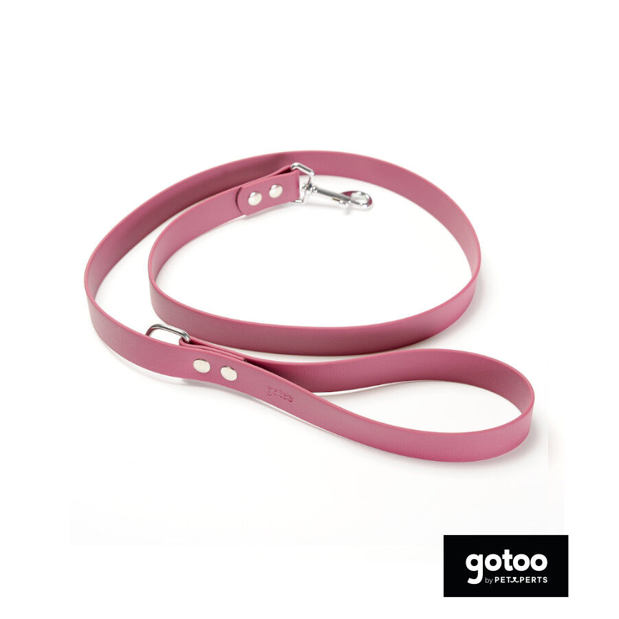 Gotoo Trela Biothane Vermelha Vinho para C&atilde;es, , large Imagem n&uacute;mero 2