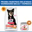6 kg Hill'sScience Plan Perfect Digestion Small & Mini Adult Ração de frango para cães, , large Indicador imagem número 8