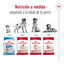 15 kg Royal Canin Medium 10+ Ageing ra&ccedil;&atilde;o para c&atilde;es, , large Indicador imagem n&uacute;mero 7