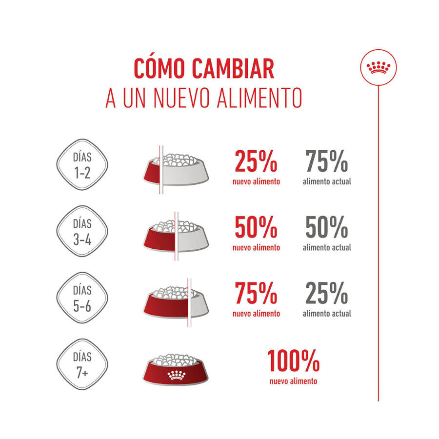 4 kg Royal Canin Puppy Maxi ra&ccedil;&atilde;o para c&atilde;es, , large Imagem n&uacute;mero 10