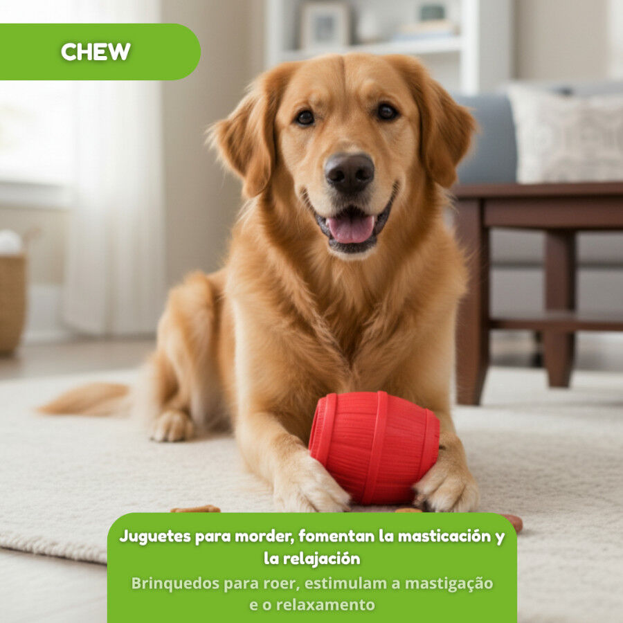 Tootoy! Chew Brinquedo interativo dispensador de snacks para c&atilde;es, , large Imagem n&uacute;mero 5