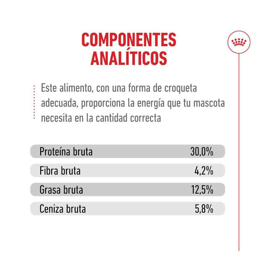 2 kg Royal Canin Ageing 11+ Sterilised ra&ccedil;&atilde;o para gatos, , large Imagem n&uacute;mero 10