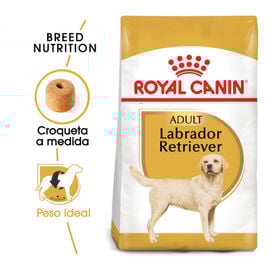 Royal Canin Adult Labrador Retriever ração para cães