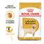 12 kg Royal Canin Adult Labrador Retriever ração para cães, , large Indicador imagem número 2