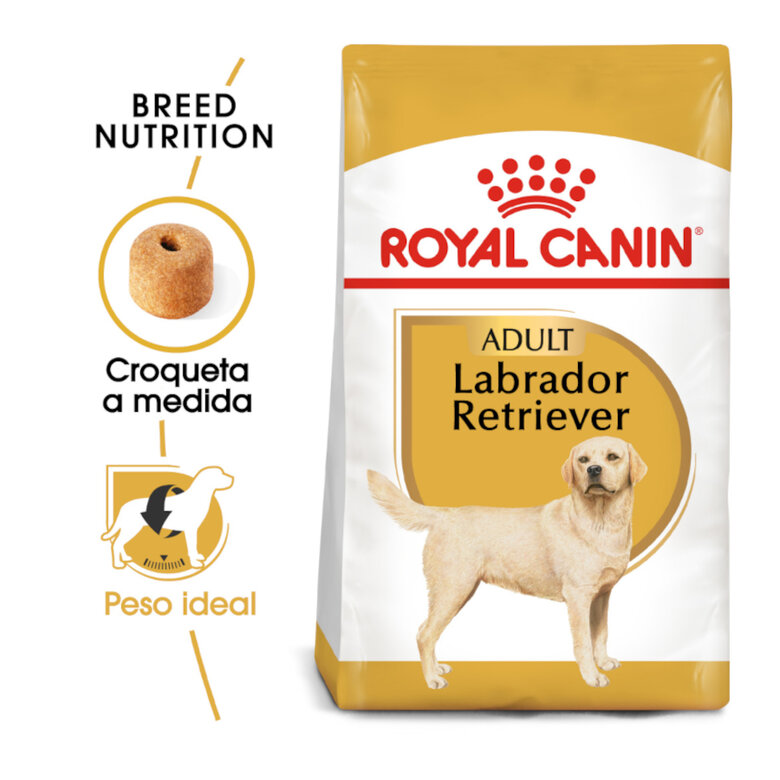 12 kg Royal Canin Adult Labrador Retriever ração para cães,  Imagem número 2 12 kg Royal Canin Adult Labrador Retriever ração para cães, , large Imagem número 2