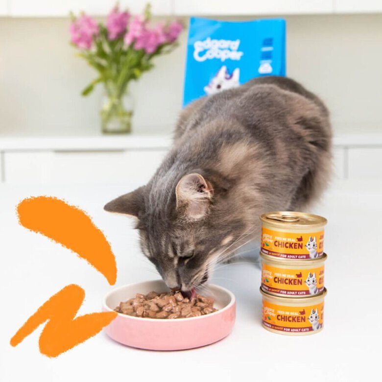 85 g Edgard & Cooper Alimento húmido de atum e frango em lata para gatos,  Imagem número 3 85 g Edgard & Cooper Alimento húmido de atum e frango em lata para gatos, , large Imagem número 3