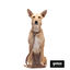Gotoo Trela Biothane castanha para cães, , large Indicador imagem número 5