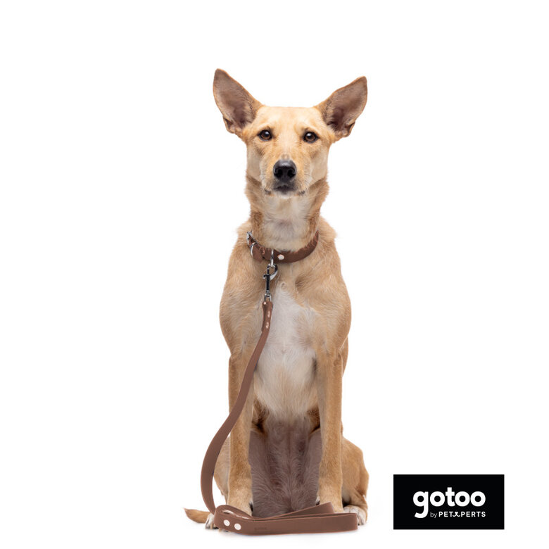 Gotoo Trela Biothane castanha para cães,  Imagem número 5 Gotoo Trela Biothane castanha para cães, , large Imagem número 5