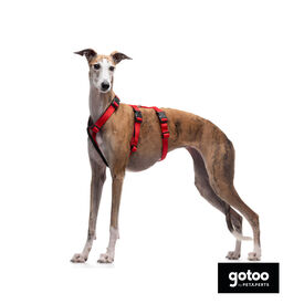 Gotoo Arnês antievasão vermelho para cães
