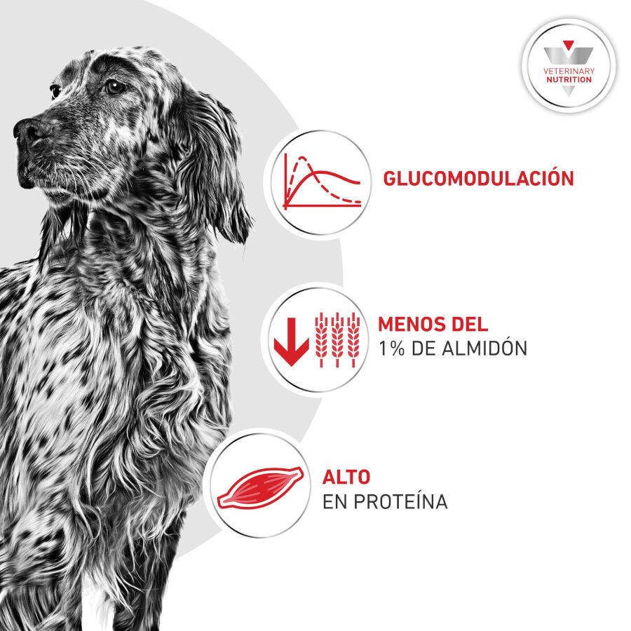410 g Royal Canin Veterinary Diabetic latas para c&atilde;es, , large Imagem n&uacute;mero 4
