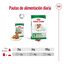 85 g Royal Canin Mini 12+ Ageing saquetas em molho para cães, , large Indicador imagem número 6