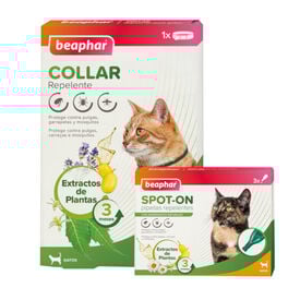 Pack Beaphar Colar e Pipetas Repelentes para Gatos