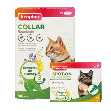 Pack Beaphar Colar e Pipetas Repelentes para Gatos