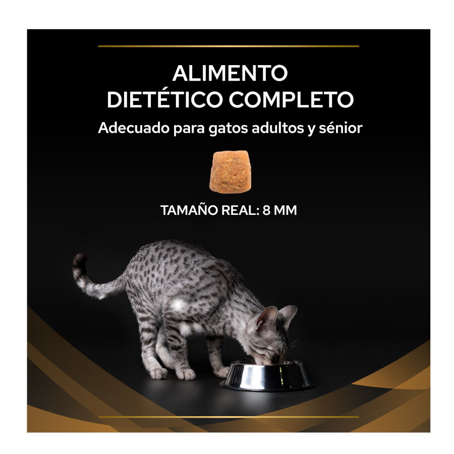 5 kg Pro Plan Veterinary Diets Renal Advanced Care ra&ccedil;&atilde;o para gatos, , large Imagem n&uacute;mero 4