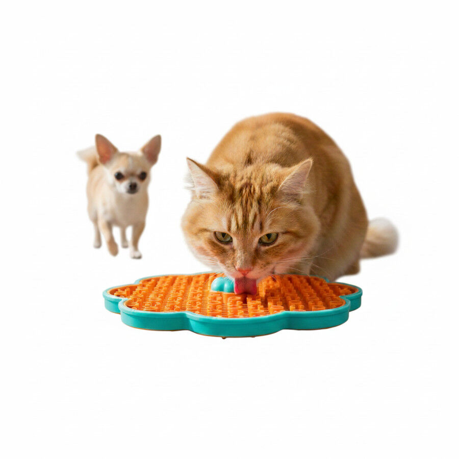 All For Paws Calming Pals Comedouro para c&atilde;es e gatos, , large Imagem n&uacute;mero 3