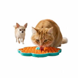 All For Paws Calming Pals Comedouro para cães e gatos