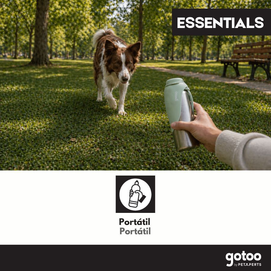 Gotoo Garrafa Bebedouro Port&aacute;til em A&ccedil;o Inoxid&aacute;vel Verde para c&atilde;es, , large Imagem n&uacute;mero 5