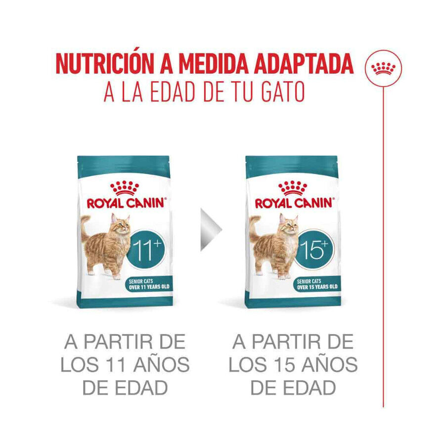 2 kg Royal Canin Ageing 11+ Sterilised ra&ccedil;&atilde;o para gatos, , large Imagem n&uacute;mero 13