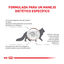 4 kg Royal Canin Veterinary Gastrointestinal Fibre Response ração para gatos, , large Indicador imagem número 5