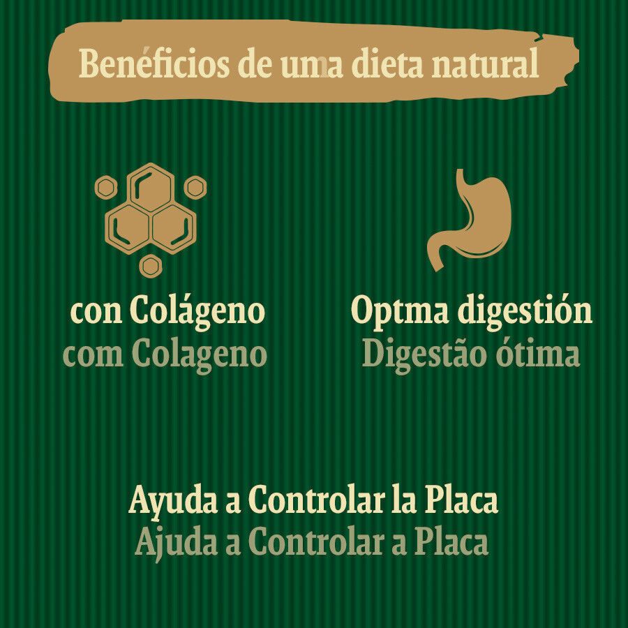 1 ud. True Origins Wild Dental Care Chewing Sticks Snack para perros, , large Imagem n&uacute;mero 5