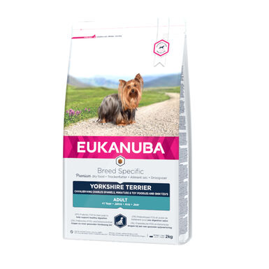 Ração para cães Eukanuba Yorkshire Terrier