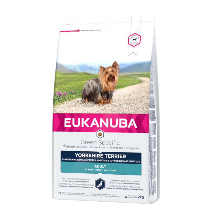 2 kg Eukanuba Adult Yorkshire Terrier ração para cães,  Imagem número 1 2 kg Eukanuba Adult Yorkshire Terrier ração para cães, , large Imagem número 1