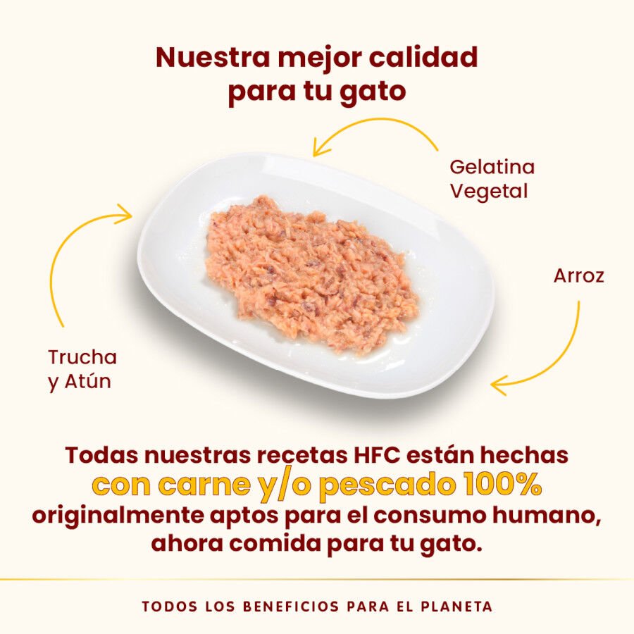 70 g Almo Nature HFC Truta e Atum em Geleia para gatos, , large Imagem n&uacute;mero 3