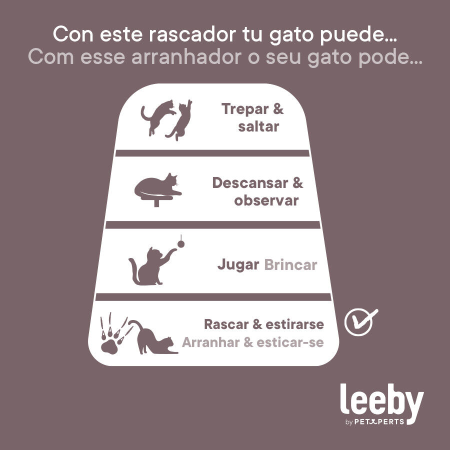 Leeby Darcy t&aacute;bua arranhadora de cart&atilde;o para gatos, , large Imagem n&uacute;mero 8