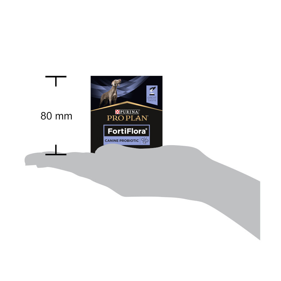 30 saquetas x 1 g Pro Plan Veterinary Diets FortiFlora Probi&oacute;tico para c&atilde;es, , large Imagem n&uacute;mero 5