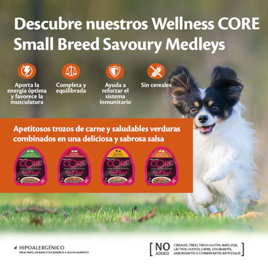 85 g Wellness Core Small Breed Grain Free Frango e Terneira terrina para c&atilde;es, , large Imagem n&uacute;mero 3