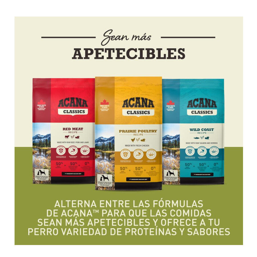 11.4 kg Acana Adult Light y Fit ra&ccedil;&atilde;o para c&atilde;es, , large Imagem n&uacute;mero 9