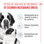 15 kg Royal Canin Starter Puppy Giant Ração para cachorro, , large Indicador imagem número 3