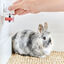 Beaphar RabbitComfort Difusor e recarga para coelhos, , large Indicador imagem número 6