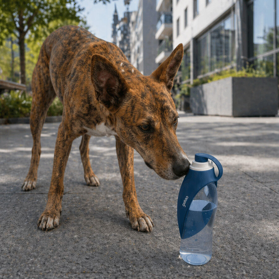 Gotoo Garrafa Bebedouro Port&aacute;til em Silicone Azul para c&atilde;es e gatos, , large Imagem n&uacute;mero 1
