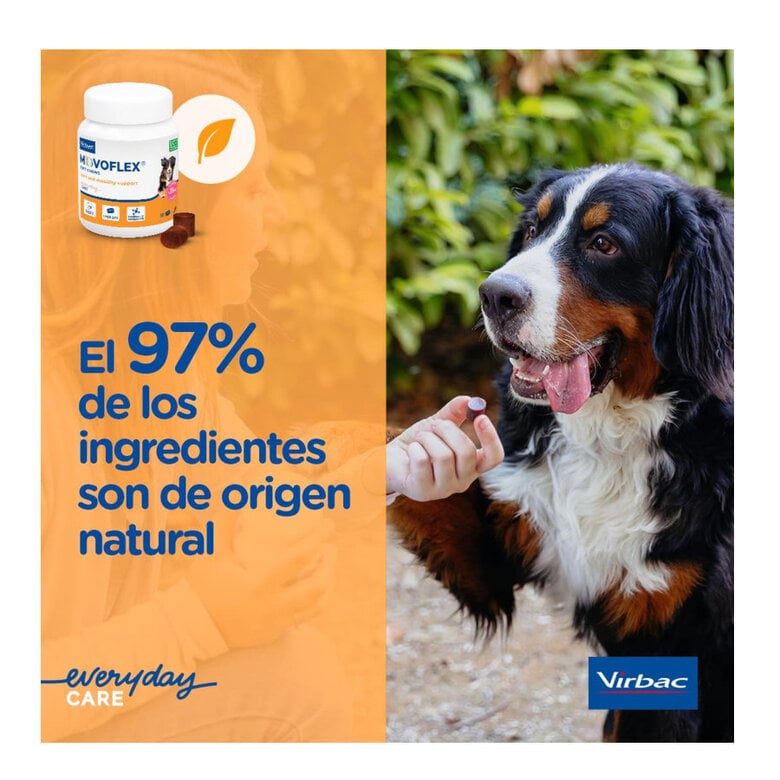 Virbac Movoflex Condroprotetor para cães de porte médio,  Imagem número 3 Virbac Movoflex Condroprotetor para cães de porte médio, , large Imagem número 3