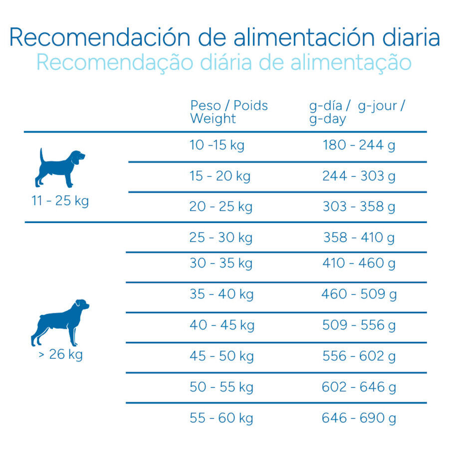 Criadores Cient&iacute;fico Sensitive Adulto Medium-Maxi Ra&ccedil;&atilde;o de salm&atilde;o para c&atilde;es, , large Imagem n&uacute;mero 9