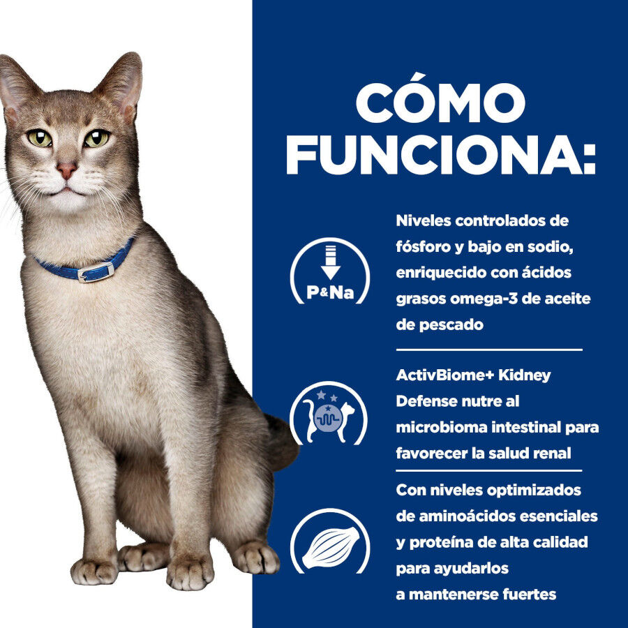 3 kg Hill's Prescription Diet kidney Care k/d Ra&ccedil;&atilde;o de salm&atilde;o para gato, , large Imagem n&uacute;mero 11