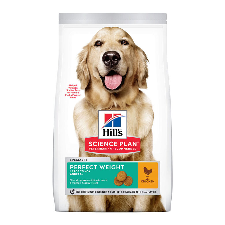 Hill's Science Plan Perfect Weight Adult Large Frango ração para cães, , large image number null