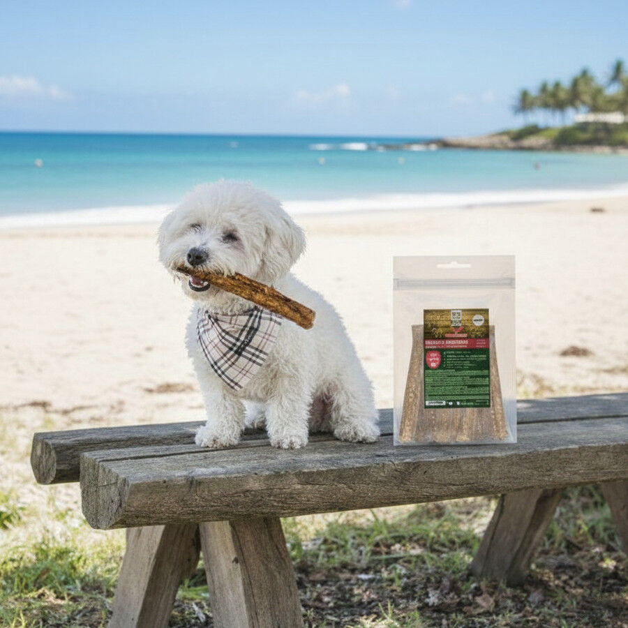 True Origins Salsichas de Frango Snack para c&atilde;es, , large Imagem n&uacute;mero 1