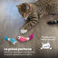 Outward Hound Catstages Dental Shrimpies Peluches com Penas para gatos, , large Indicador imagem número 2
