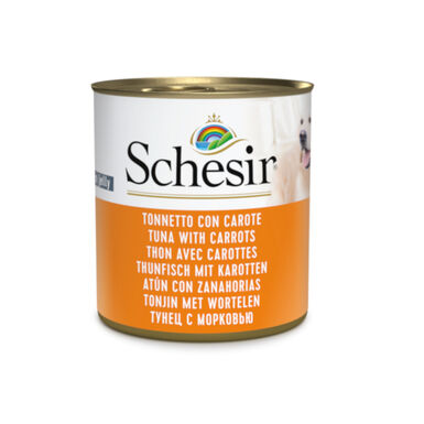 Schesir Adult Atum com Cenouras em lata para cães