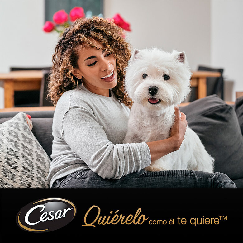 4 saquetas x 100 g Cesar Mix de Carnes em Molho Saquetas para cães - Multipack,  Imagem número 3 4 saquetas x 100 g Cesar Mix de Carnes em Molho Saquetas para cães - Multipack, , large Imagem número 3