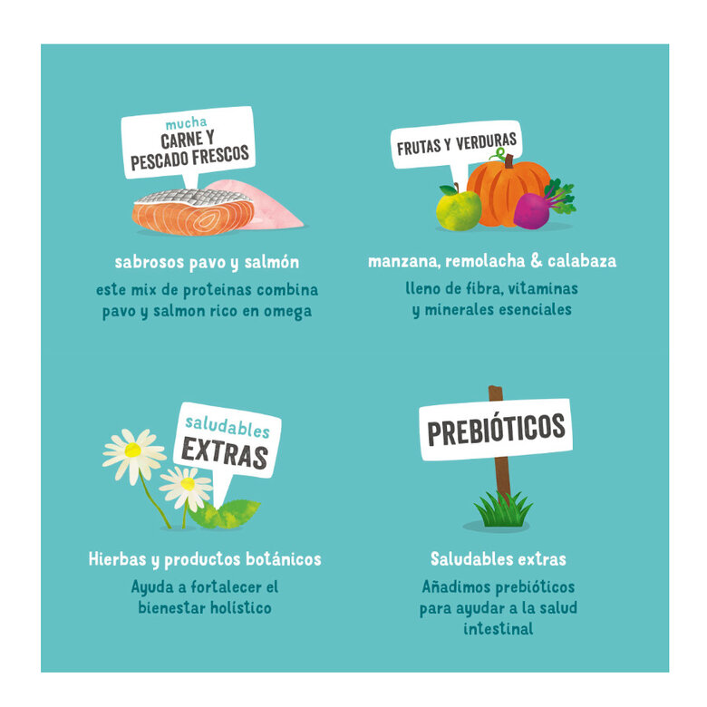 150 g Edgard y Cooper Peru Terrinas comida húmida,  Imagem número 3 150 g Edgard y Cooper Peru Terrinas comida húmida, , large Imagem número 3