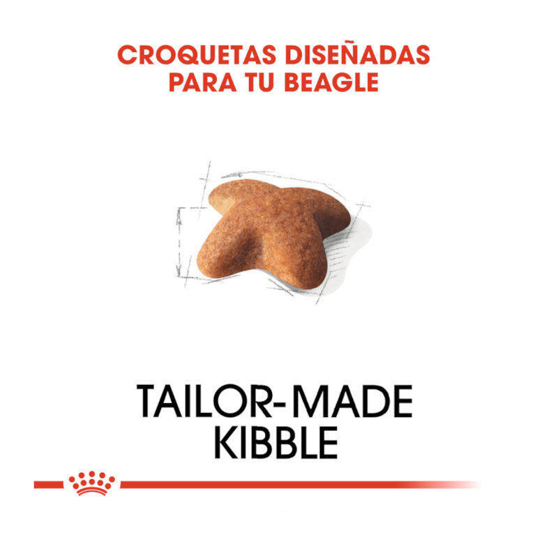 12 kg Royal Canin Adult Beagle ração para cães,  Imagem número 5 12 kg Royal Canin Adult Beagle ração para cães, , large Imagem número 5
