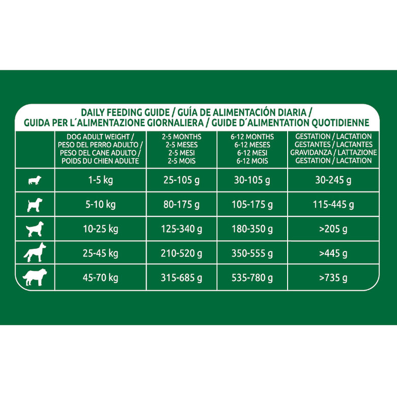 12 kg Affinity Libra Puppy Frango ração para cães,  Imagem número 4 12 kg Affinity Libra Puppy Frango ração para cães, , large Imagem número 4