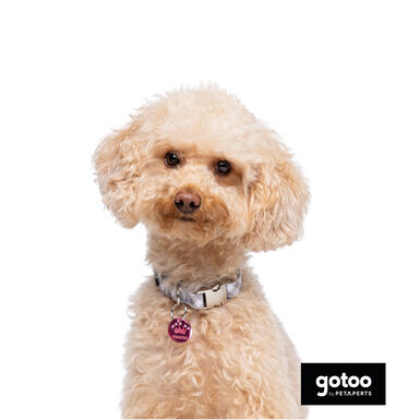 Gotoo Coleira estampada xadrez para cães