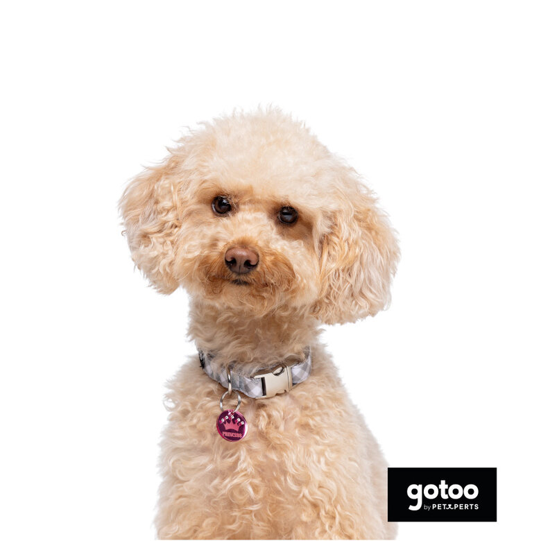 Gotoo Coleira estampada xadrez para cães,  Imagem número 3 Gotoo Coleira estampada xadrez para cães, , large Imagem número 3
